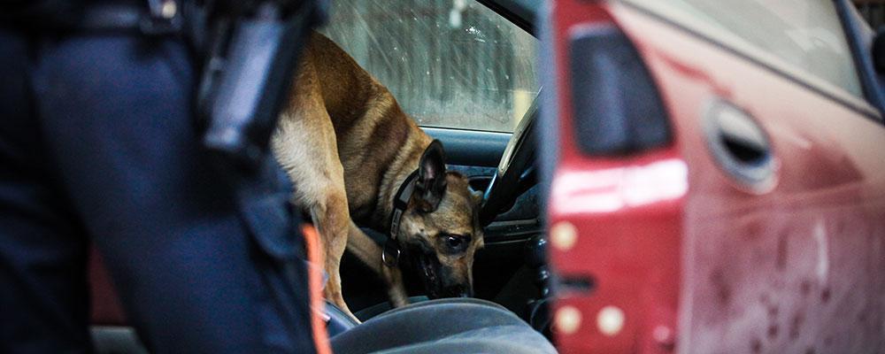 Lexington illegal search and seizure lawyers